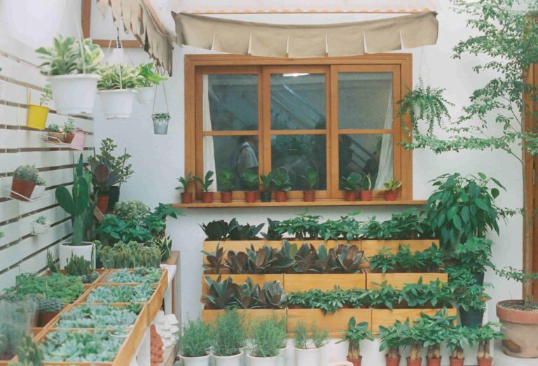A cozy indoor plant shop or garden corner with wooden window frames, featuring stacked wooden planter boxes, succulents, cacti, and potted greenery.