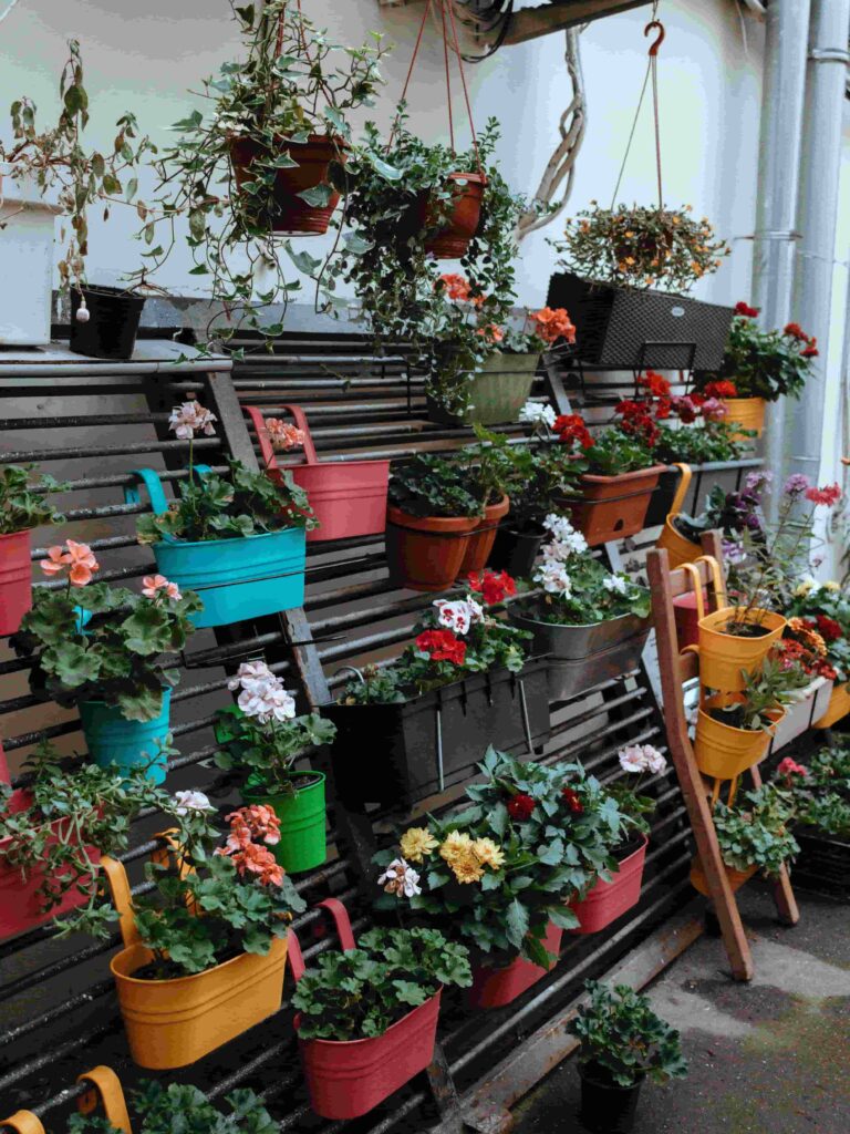 A wooden display stand filled with colorful hanging pots and planters holding vibrant flowers and green plants, including geraniums and ivy.