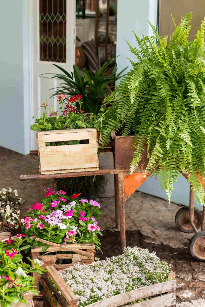 A outdoor garden display of potted flowers and green ferns arranged in wooden crates and on a vintage rusty metal cart outside a doorway.
